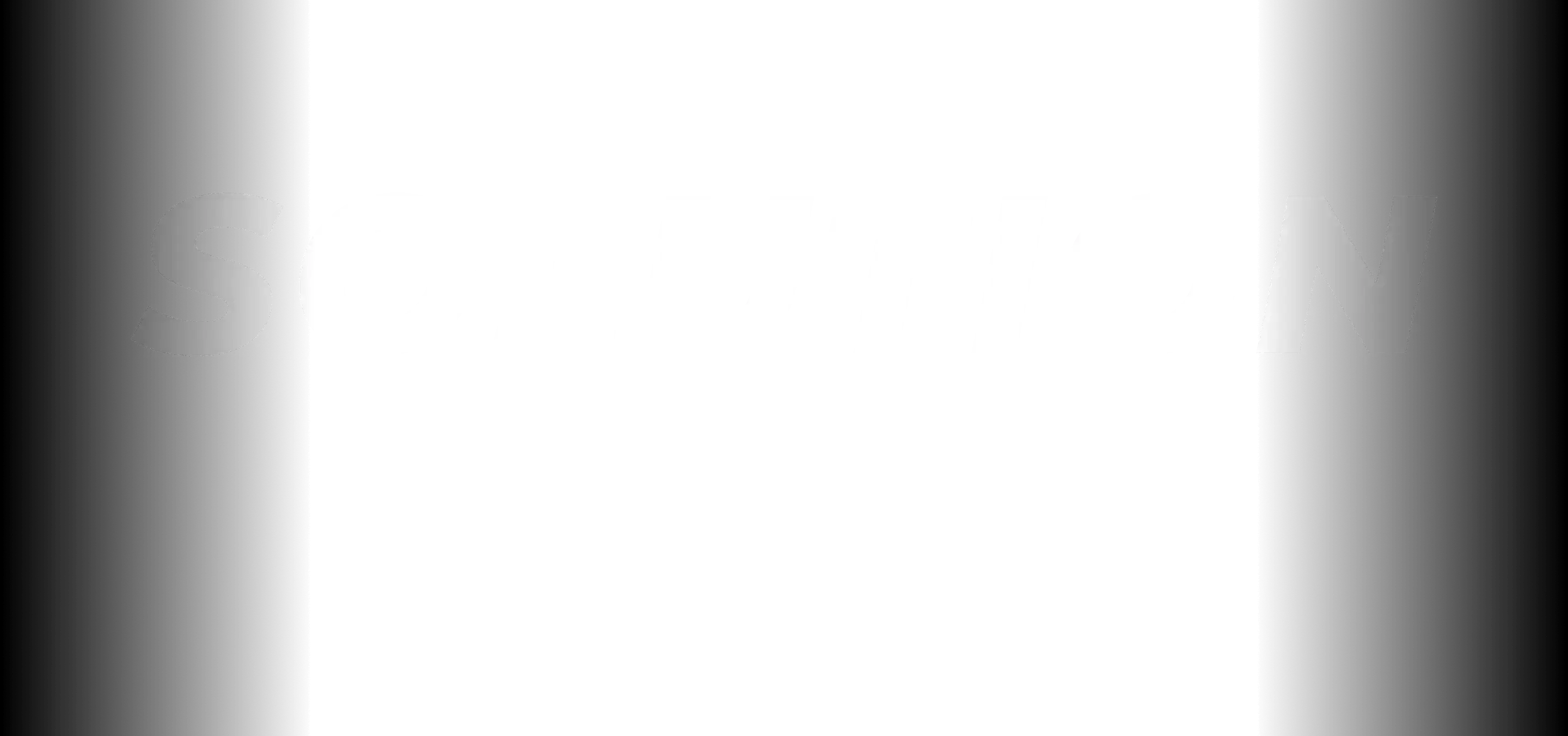 SOLUTION